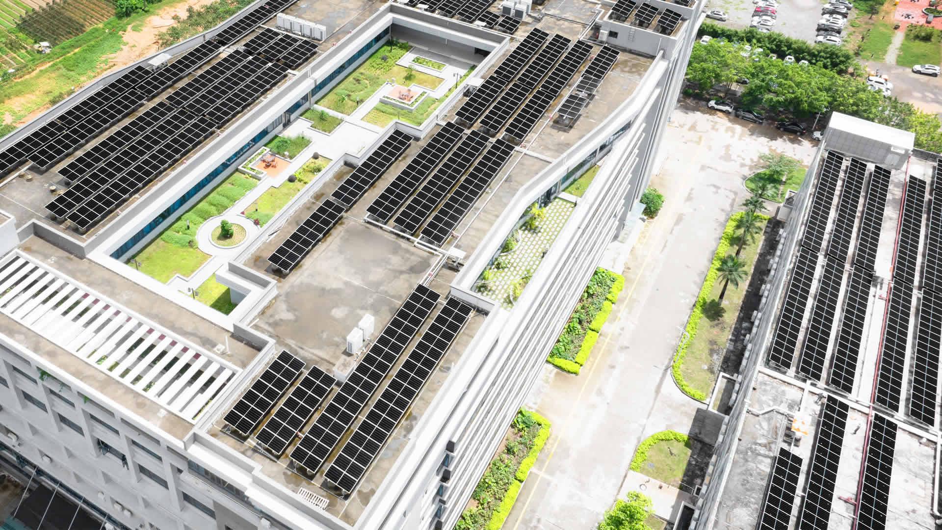 珠；诳萍及咐