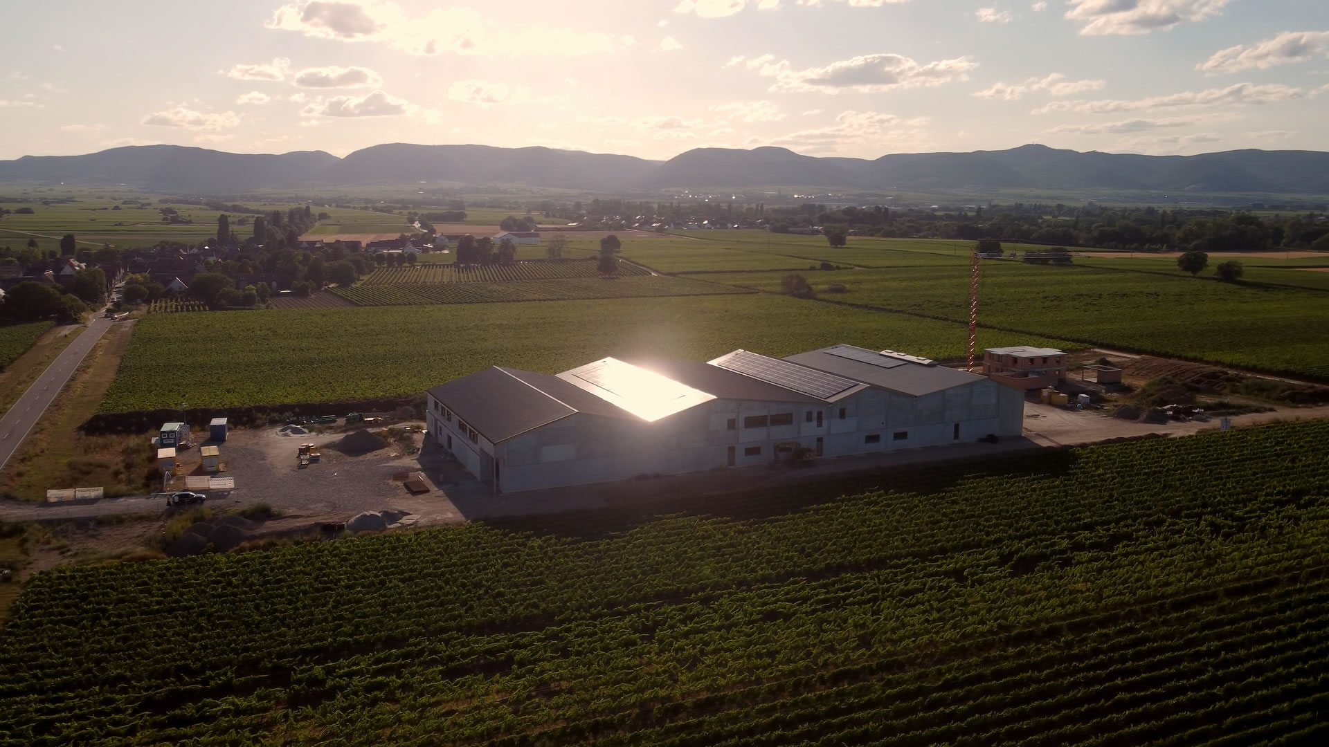 Photovoltaik-Stromerzeugungsprojekt für das Weingut Ellermann-Spiegel in Deutschland 