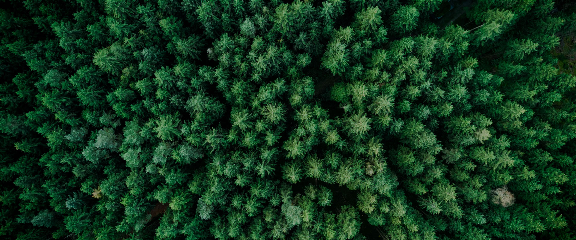 Accelerate the global carbon-free